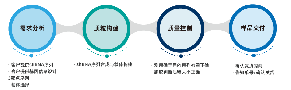 shRNA干扰质粒构建服务