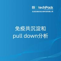 免疫共沉淀和pull down分析