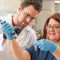 免疫球蛋白E(IgE)、人骨髓瘤血浆、λ(Lambda