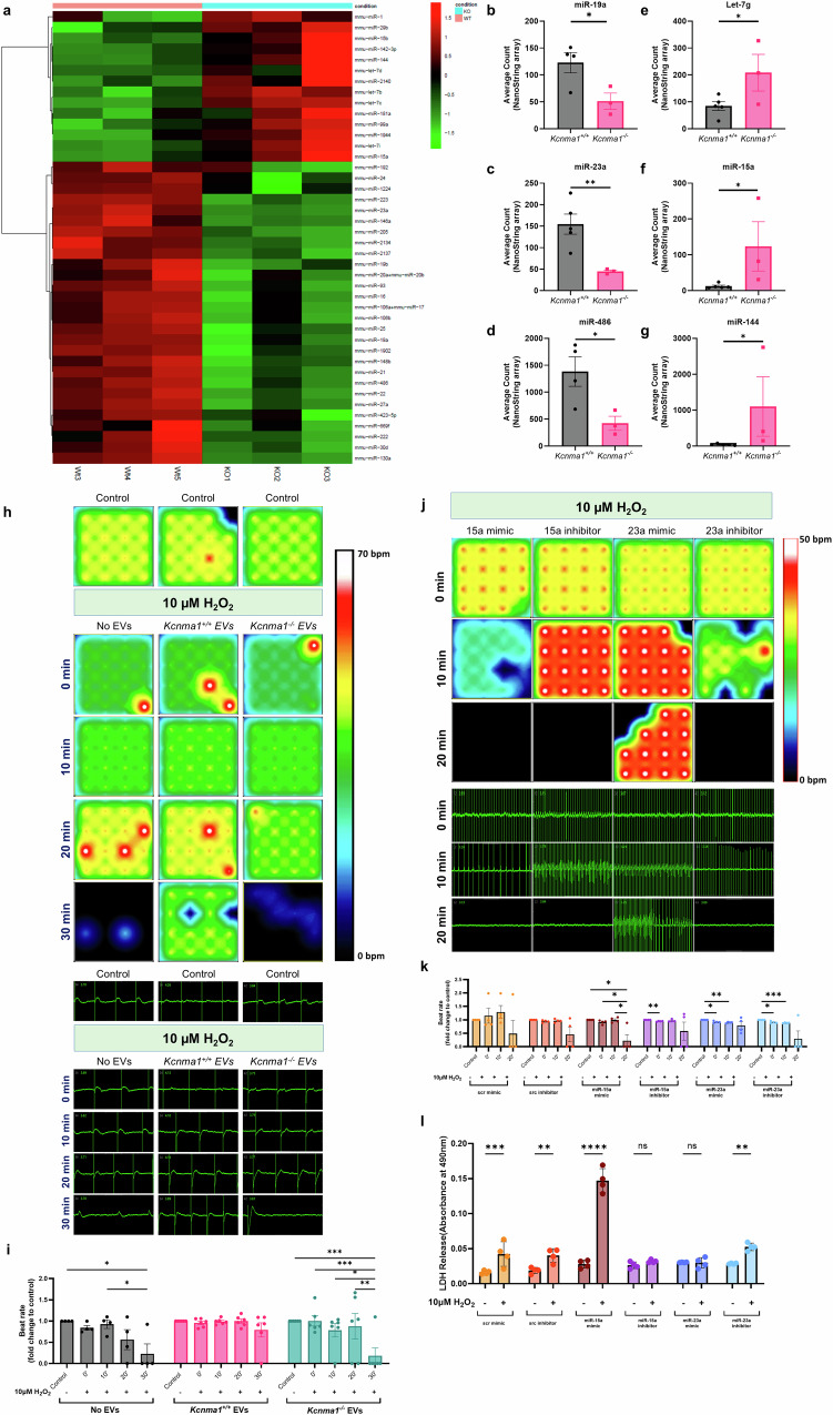 外泌体技术服务 外泌体技术服务