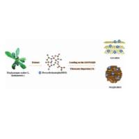 氮掺杂氧化石墨烯量子点（NGQD)包载去氧地胆草内酯
