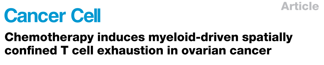 化疗后T细胞为何失效？多组学研究揭示卵巢癌免疫治疗新突破