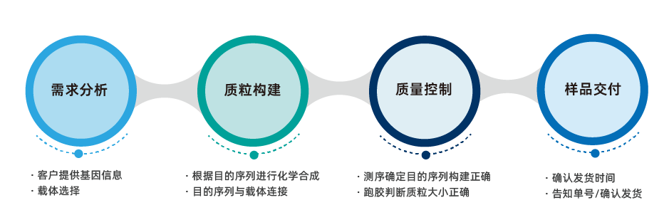 过表达质粒构建服务