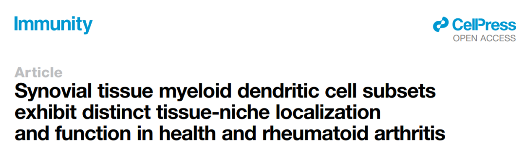 免疫耐受还是促炎风暴？SMI技术揭示滑膜树突状细胞在类风湿性关节炎中的双重角色