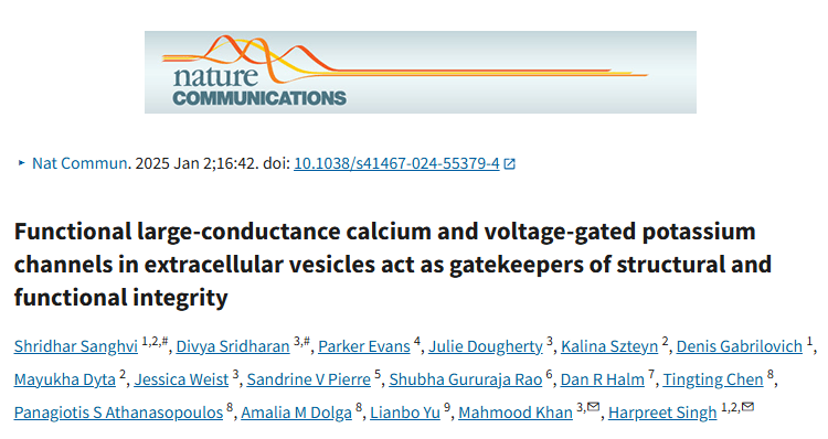 4图14+！国自然热点开炫—“细胞外泌体”充当守门人？更多功能有待探索……