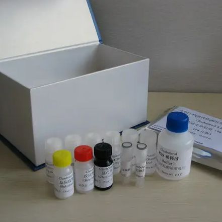 IBP160160kDa内含子结合蛋白免疫组化试剂盒