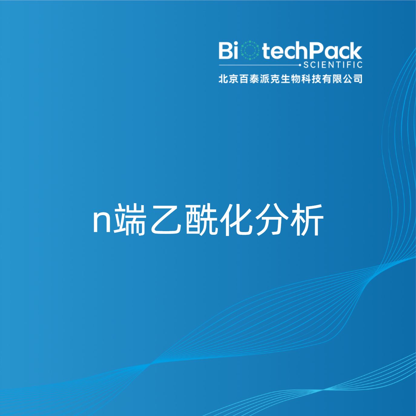 n端乙酰化分析产品图