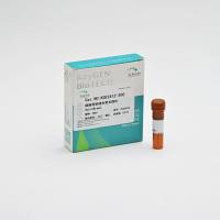 细胞骨架绿色荧光探针 Actin-Tracker Green（鬼笔环肽）