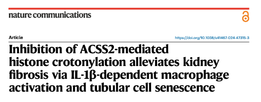 image.png 肾纤维化背后的神秘 “推手” 竟是它?