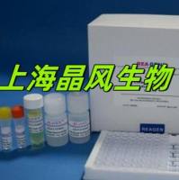 MIS12染色体及有丝分裂蛋白MIS12免疫组化试剂盒