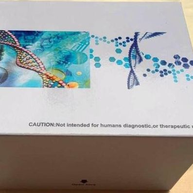 phospho-STAT3(Tyr705)磷酸化信号转导和转录激活因子3免疫组化试剂盒