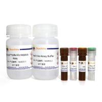 Amplex Red肌酐检测试剂盒