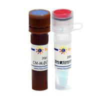 活性氧检测试剂盒(CM-H2DCFDA)