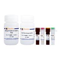 Amplex Red黄嘌呤/次黄嘌呤检测试剂盒