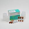 GSH检测试剂盒（谷胱甘肽测试盒）（比色法）