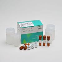 GSH检测试剂盒(谷胱甘肽测试盒)(比色法)