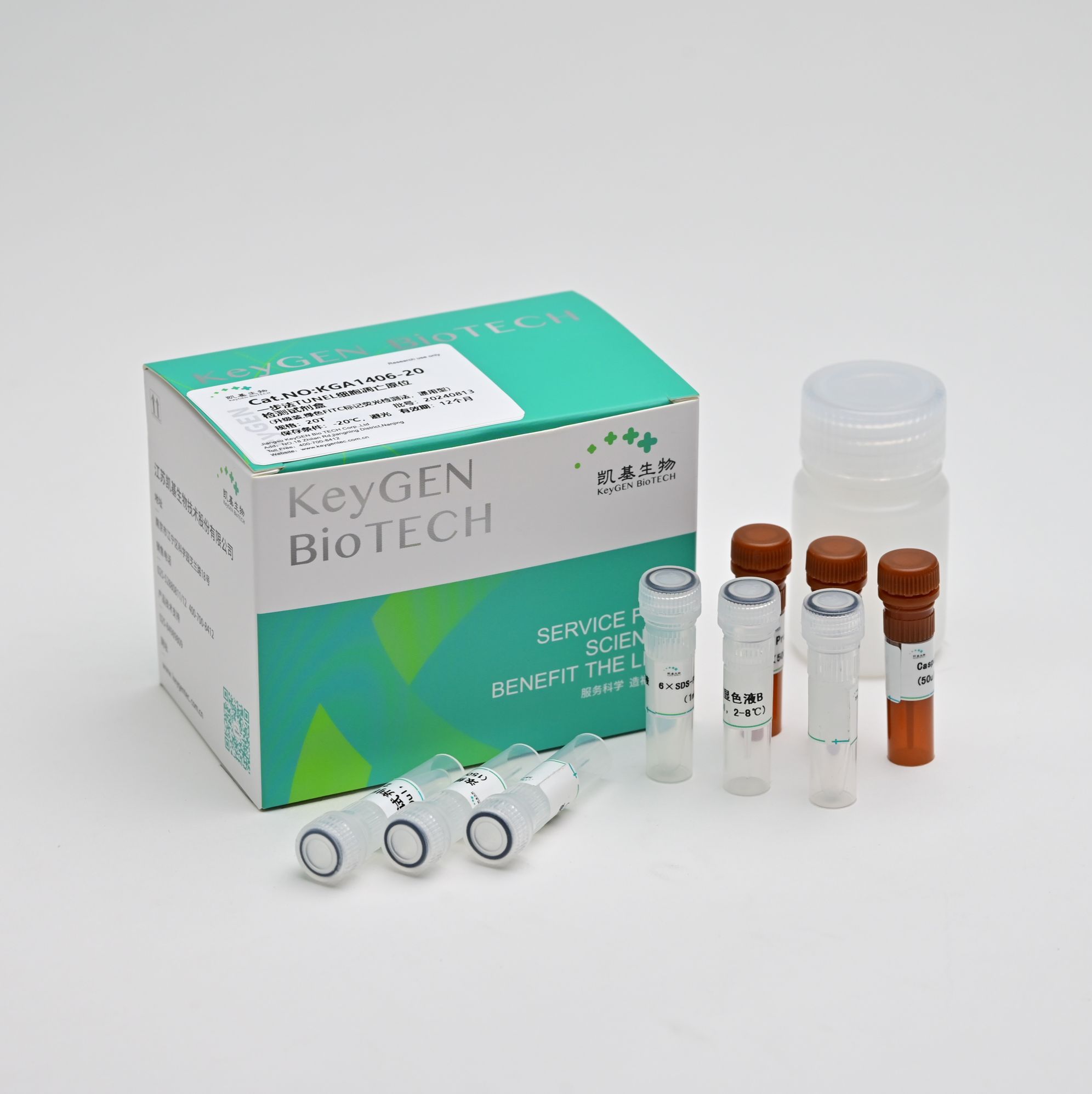 一步法TUNEL细胞凋亡原位检测试剂盒,升级装(绿色FITC标记荧光检测法,通用型)