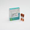 细胞活力（活死细胞染色）检测试剂盒（Calcein AM，PI法，适用于FACS、FM）