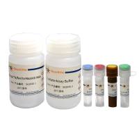 D-乳酸检测试剂盒(WST-8法)