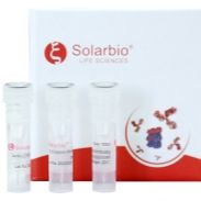 K115963P Anti-NUDT21 Polyclonal Antibody 索莱宝