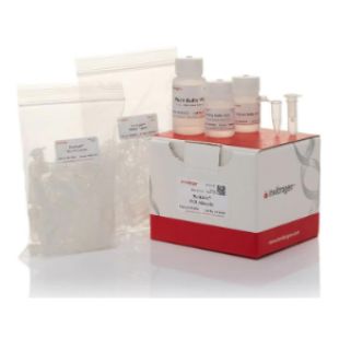 PCTPPCTP蛋白免疫组化试剂盒