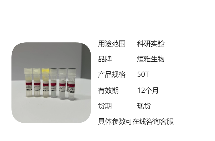 恶性疟原虫（PF）核酸检测试剂盒（探针法荧光PCR）