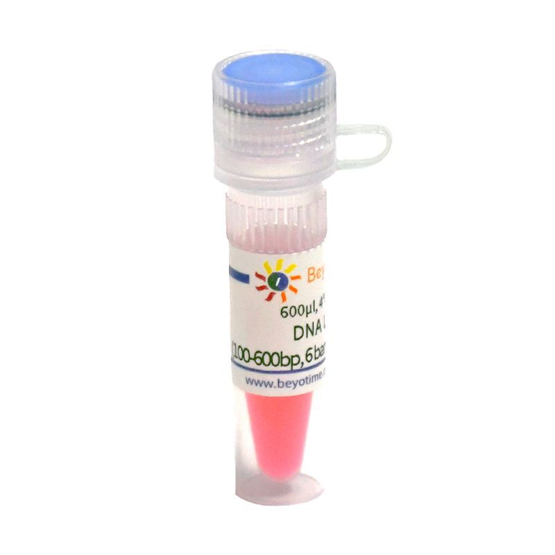 DNA Ladder (100-600bp, 6 bands, with BeyoRed)