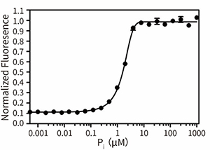 Phosphate Sensor Assay Kit (磷酸