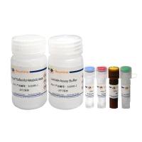 L-乳酸脱氢酶检测试剂盒(WST-8法)