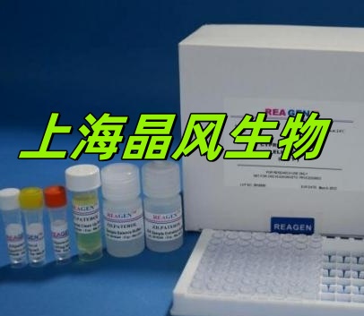 IBP160160kDa内含子结合蛋白免疫组化试剂盒