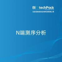N端测序分析