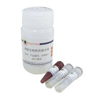 超氧化物检测试剂盒