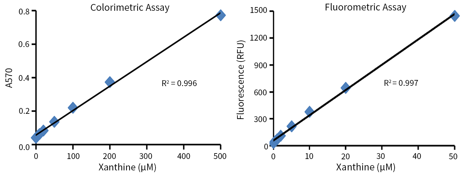 Amplex Red黄嘌呤/次黄嘌呤检测试剂盒