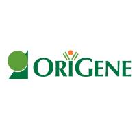 OriGene AAV8 Rabbit Monoclonal Antibody [Clone ID: OTIR1A10]