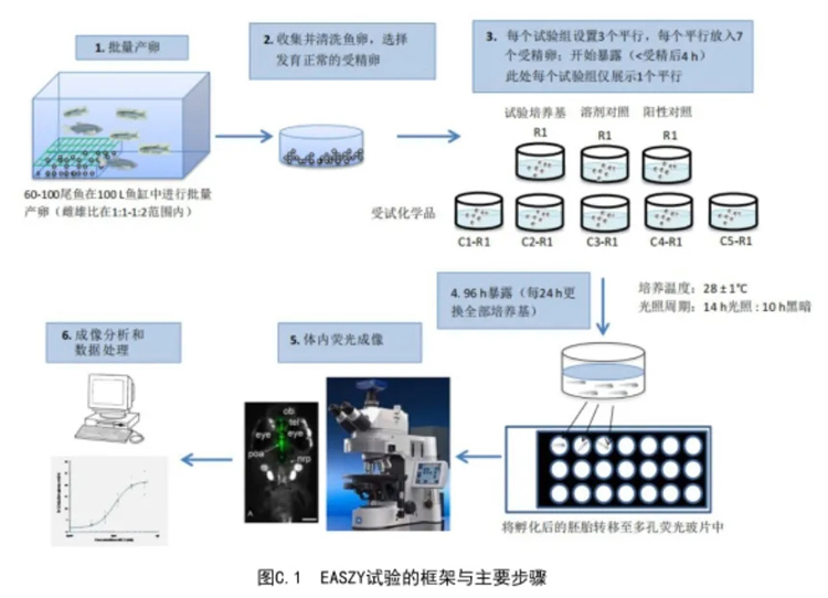 新闻图片2