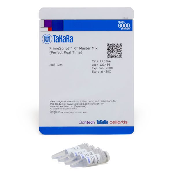 定量PCR专用反转录试剂盒primeScript™ RT Master Mix (Perfect Real Time)