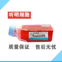 小鼠口腔鳞状细胞癌细胞;MOC-2(圻明细胞库ATCC引种代购)
