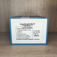 人EB病毒 IgG 抗体(Ebv IgG)定量检测试剂盒(ELISA)