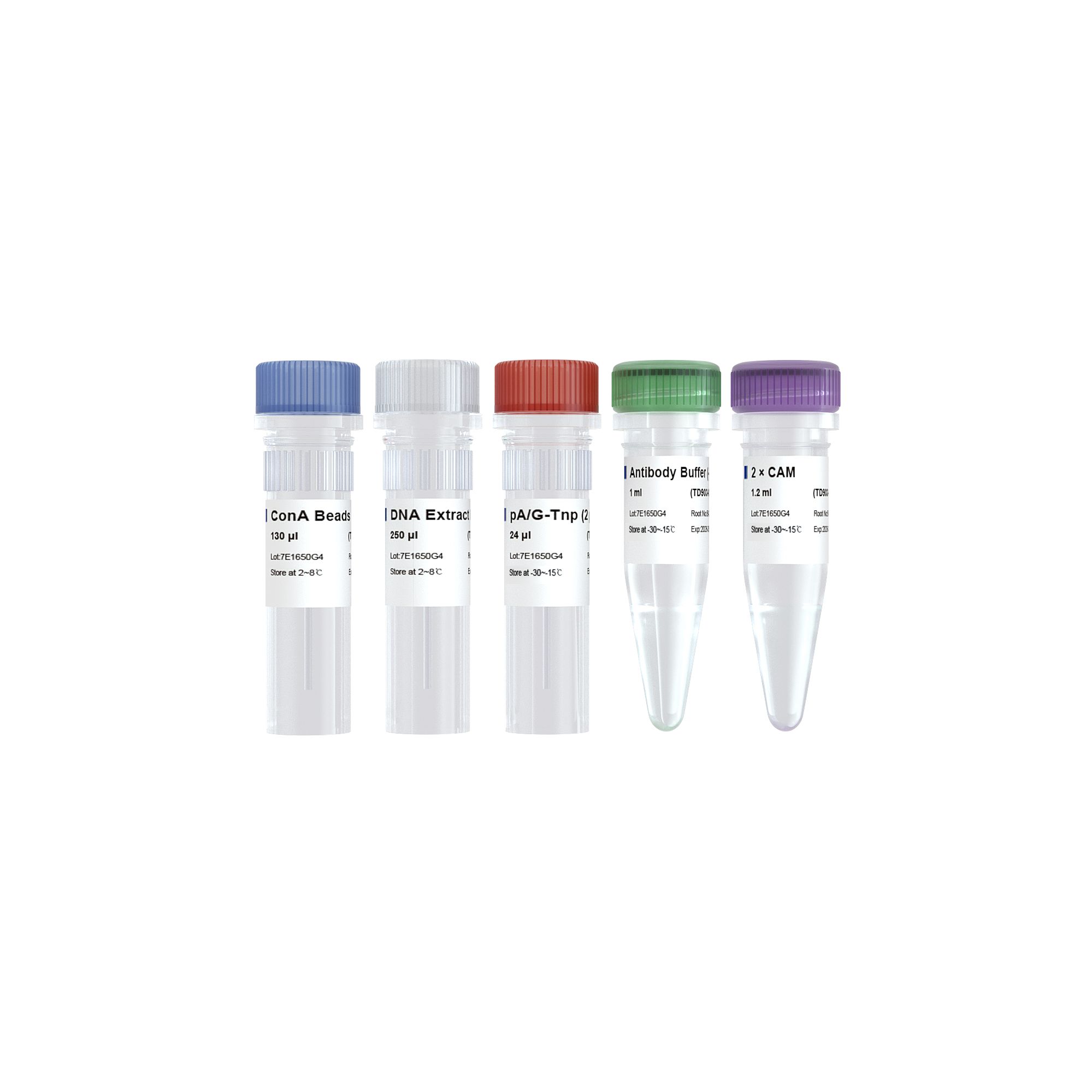 CUT&Tag试剂盒 Hyperactive Universal CUT&Tag Assay Kit for Illumina(TD903)