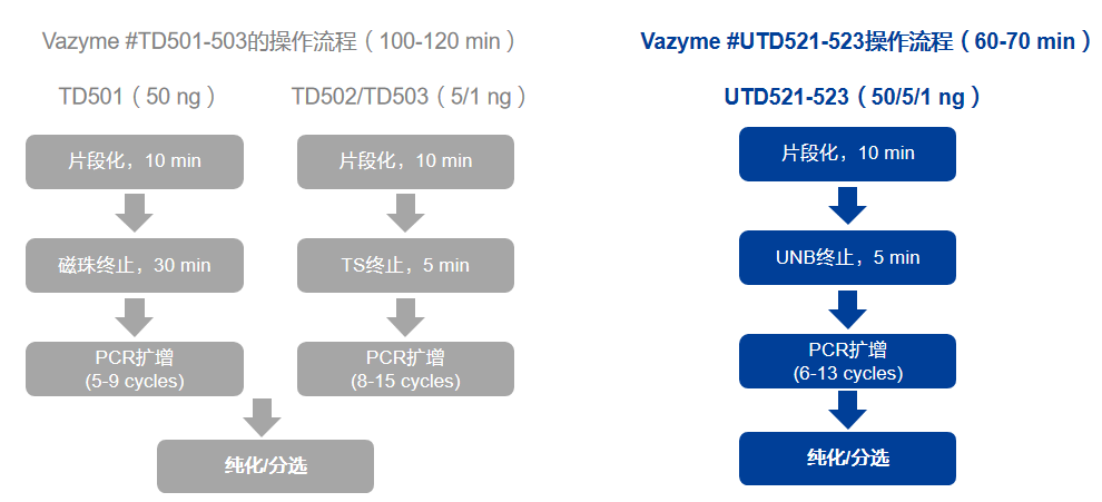 转座酶DNA文库构建试剂盒 UltraClean DNA L