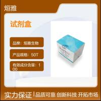 人疱疹病毒 6 型(HHV-6)核酸检测试剂盒(探针法荧光PCR)