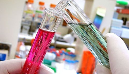 构建稳定转染的细胞株也可以很简单~