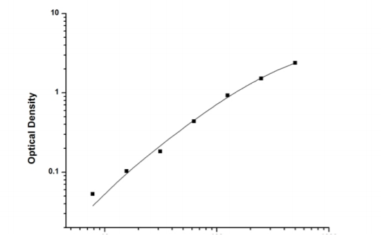 人EB病毒 IgG 抗体（Ebv IgG）定量检测试剂盒（E