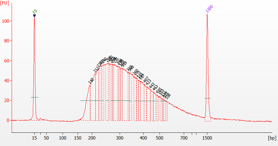 转座酶DNA文库构建试剂盒 UltraClean DNA L