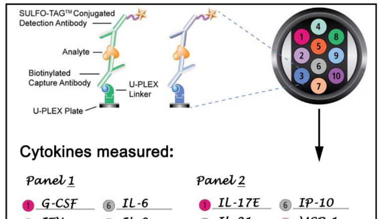 【备加速】IF 26.8—乐备实多因子平台助力肝硬化病程相关炎症血液标志物的发掘