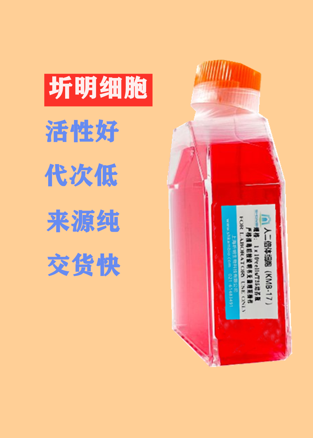 小鼠乳腺癌细胞;EMT6(圻明细胞库ATCC引种代购)