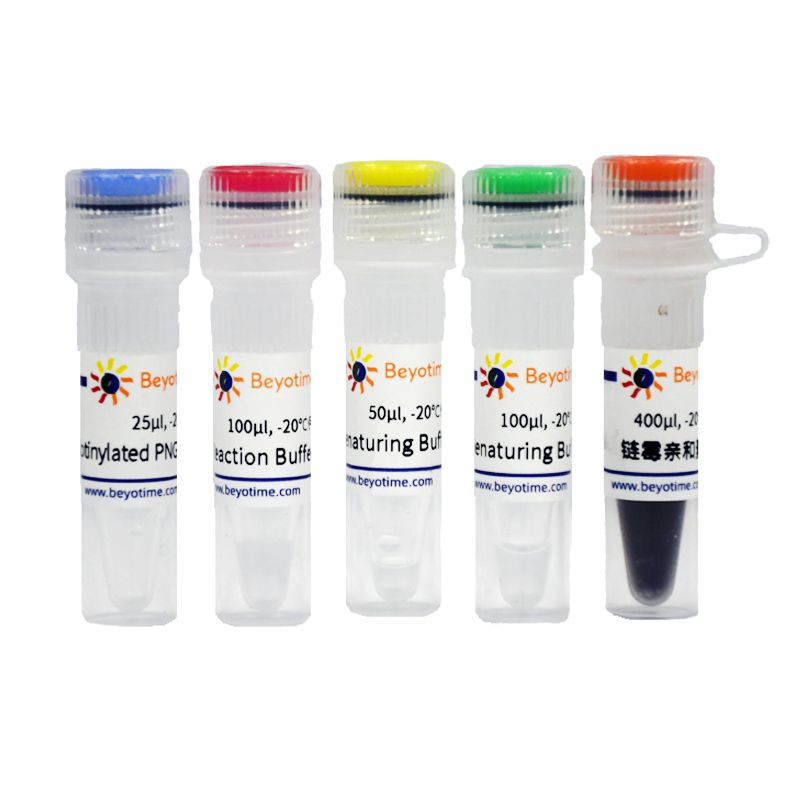PNGase F去糖基化试剂盒(磁珠法)