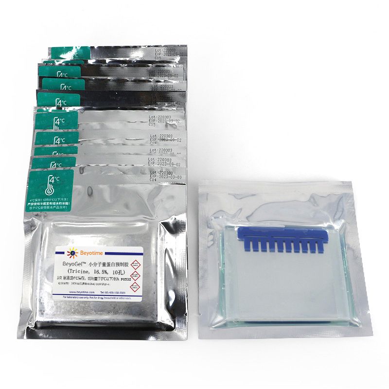 BeyoGel™小分子量蛋白预制胶(Tricine, 16.5%, 10孔)