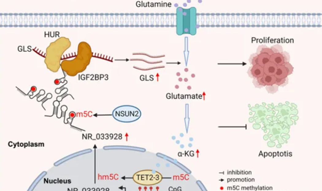 技术资料图片10