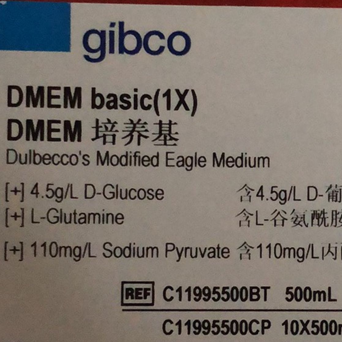 Gibco货号C11995500BT高糖DMEM培养基[含丙(bǐng)酮酸盐]13611631389上海睿安生物